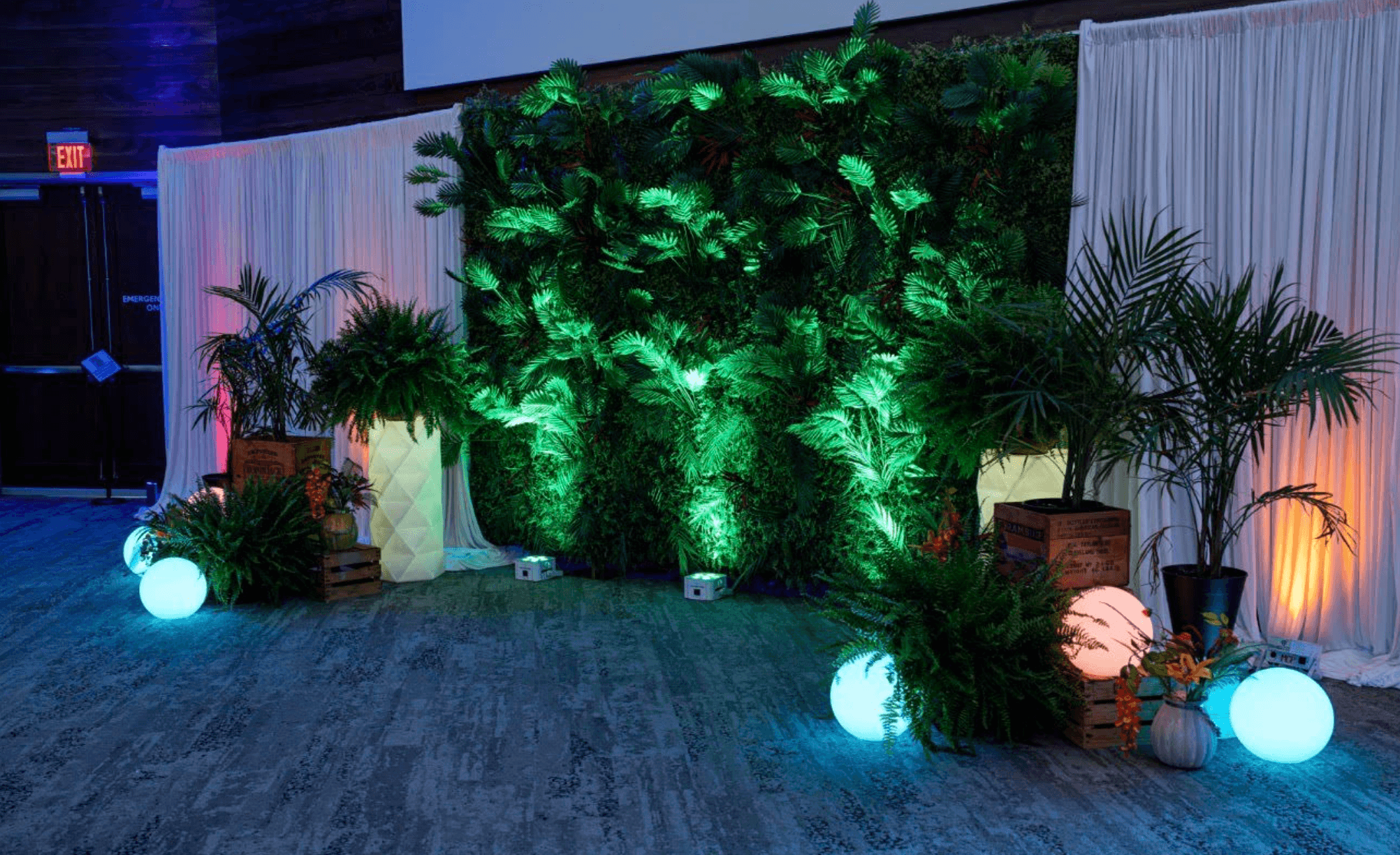 A decorative indoor setup by expert event decorators features a green foliage wall, potted plants, crates, and glowing orb lights on a carpeted floor with draped white curtains in the background.